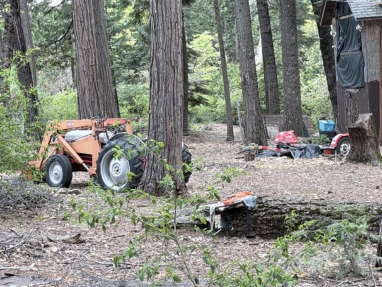 farm tractor auction Alta California