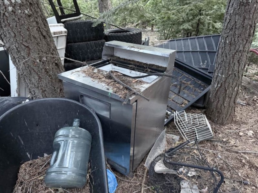 wet dry vacuum and tools auction California