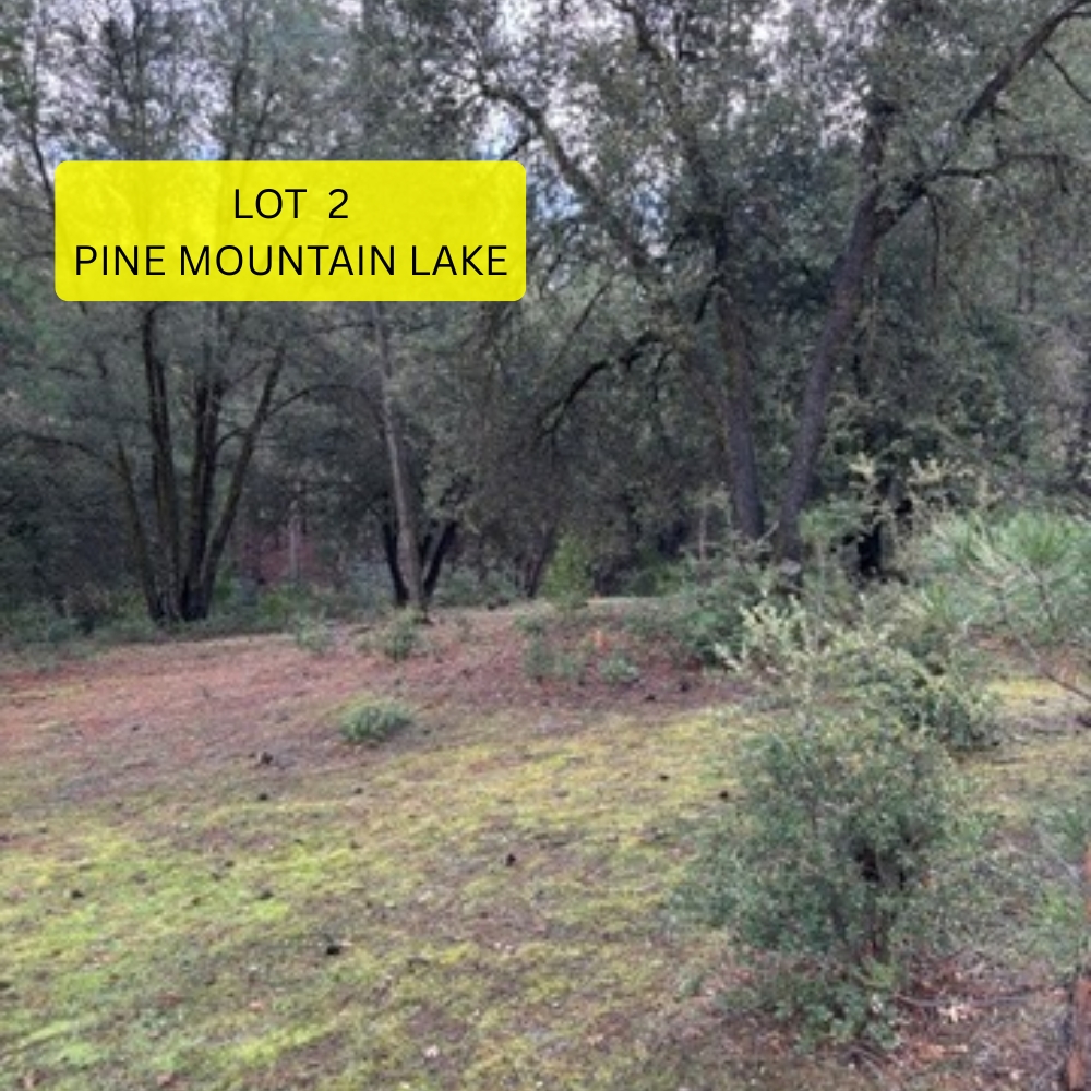 Northern California parcel auction in Pine Mountain Lake