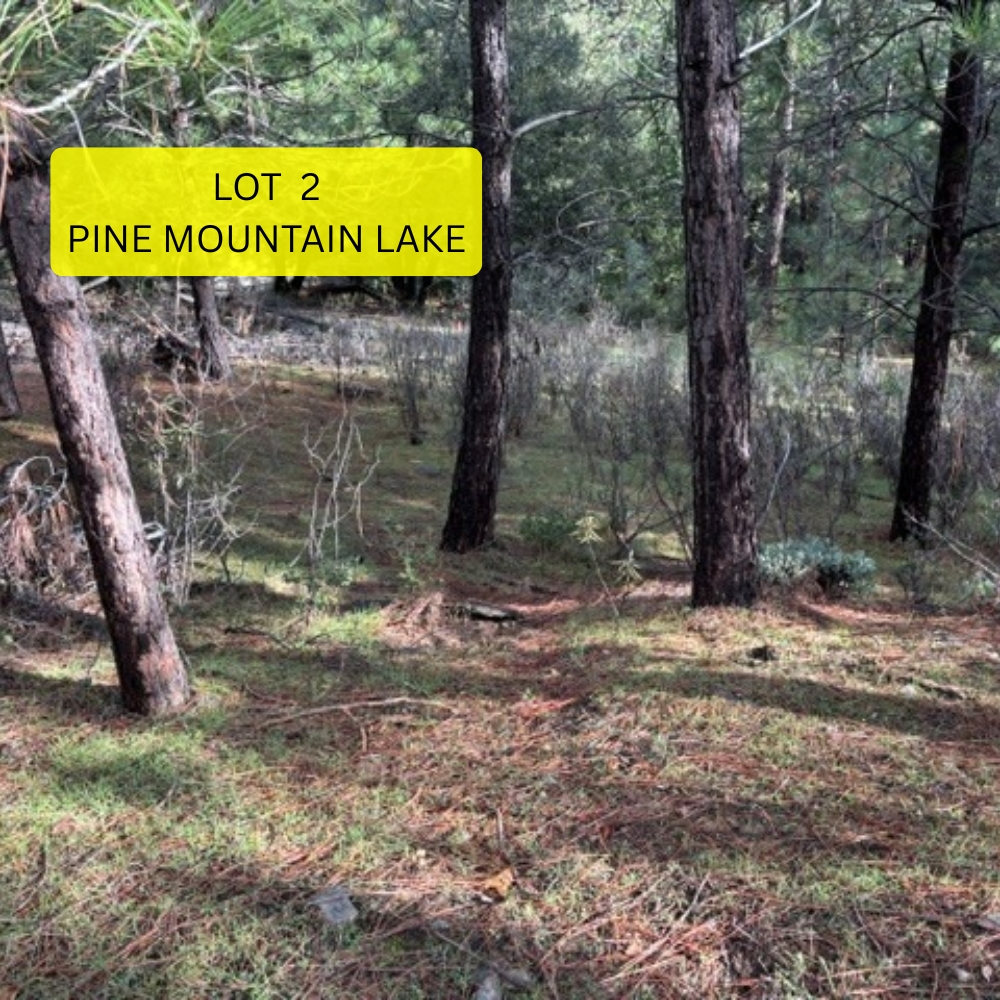 Mostly level Pine Mountain Lake Association lot