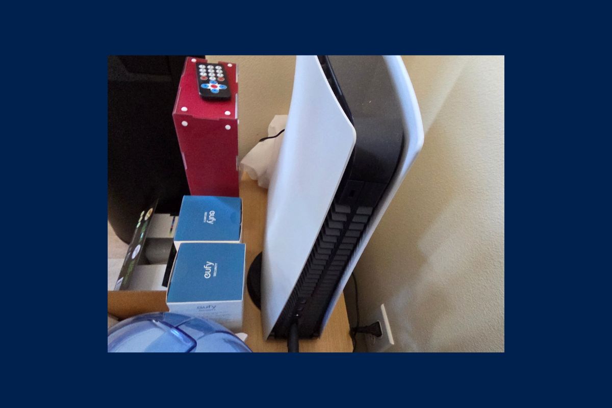 PS5 at Irvine CA Auction