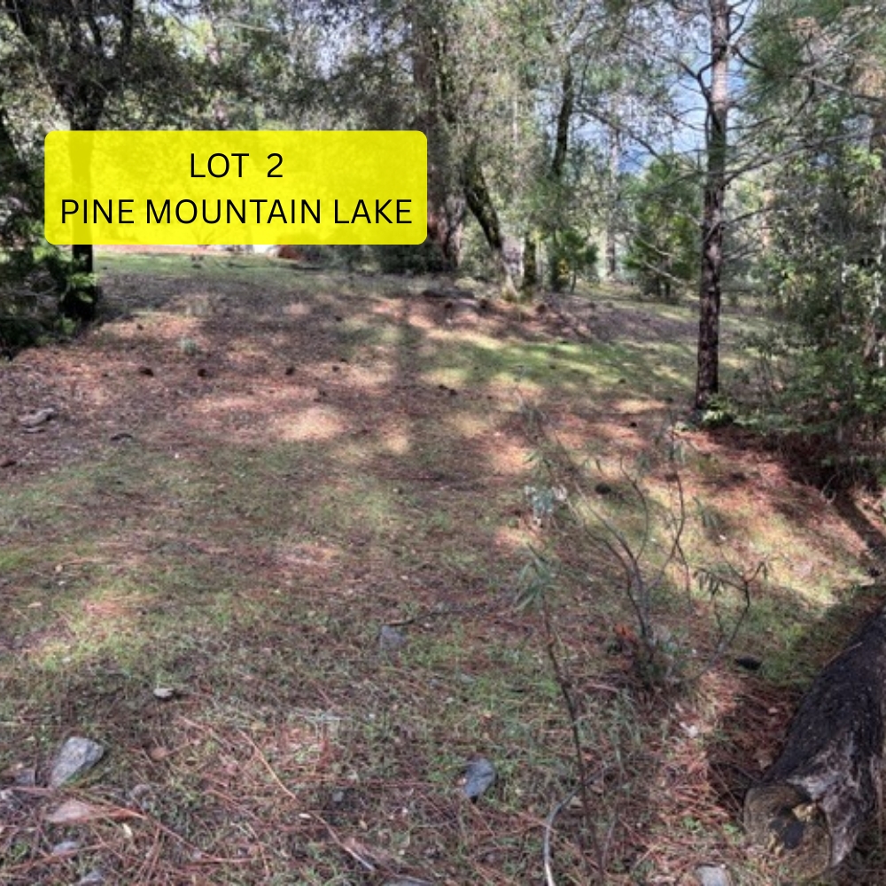 Pine Mountain Lake residential parcel for online bidding