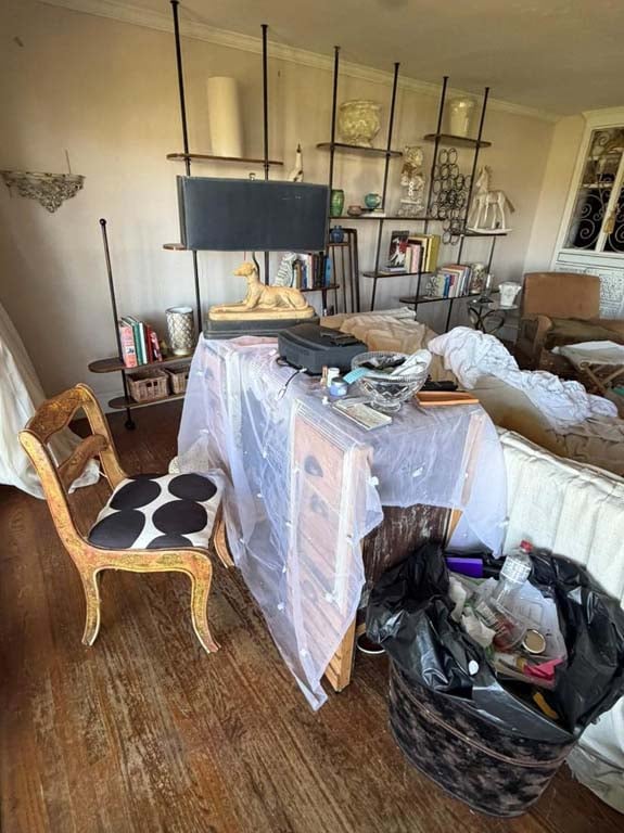 Fischer Auction abandoned property Newport Beach