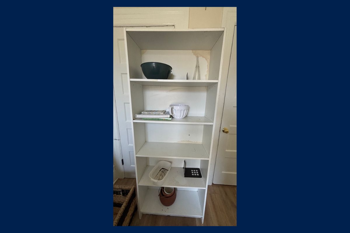 Household shelving at abandoned property sale