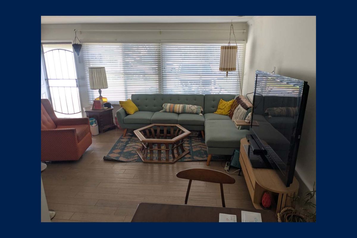 Television in Orange County abandoned property auction