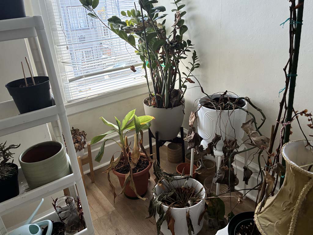 Apartment contents auction at 746 14th Street San Francisco