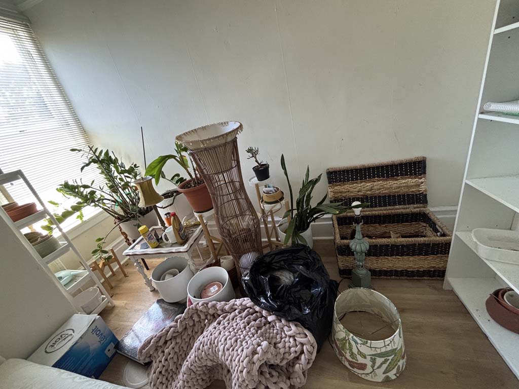 Plants and plant stands in San Francisco auction